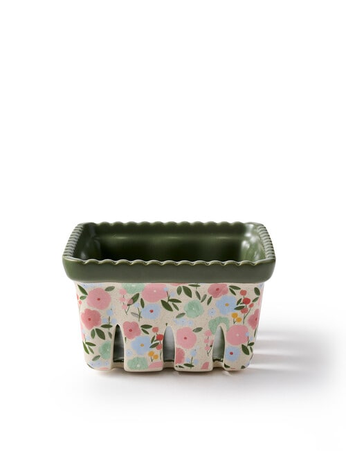 Robert Gordon Flower Stall Berry Washer product photo