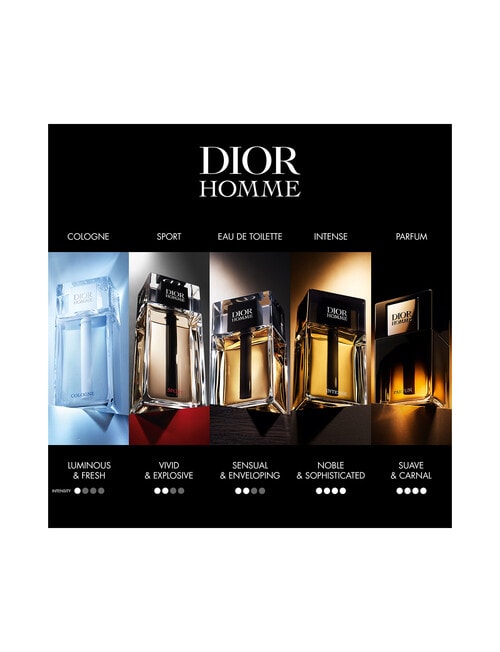 Dior Dior Homme Parfum product photo View 06 L