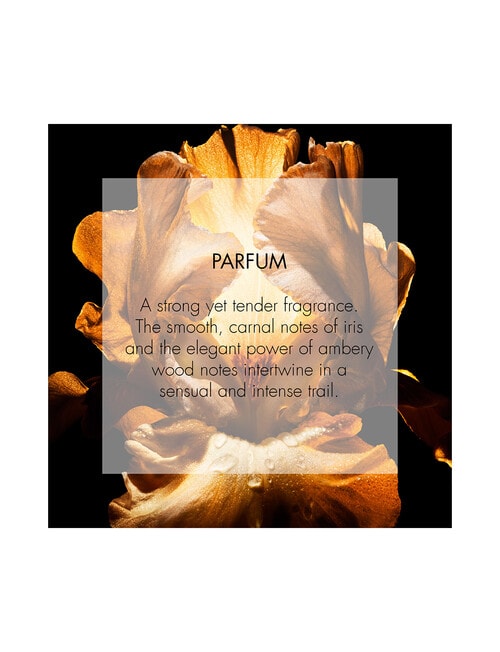 Dior Dior Homme Parfum product photo View 04 L