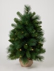 Christmas Shop Spruce Pre-Lit Tree, Dual Lights, 61cm/2ft product photo