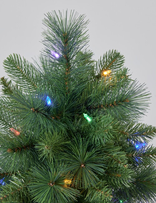 Christmas Shop Spruce Pre-Lit Tree, Dual Lights, 61cm/2ft product photo View 05 L