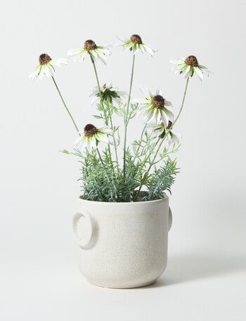 Tilly Home Faux Daisy product photo