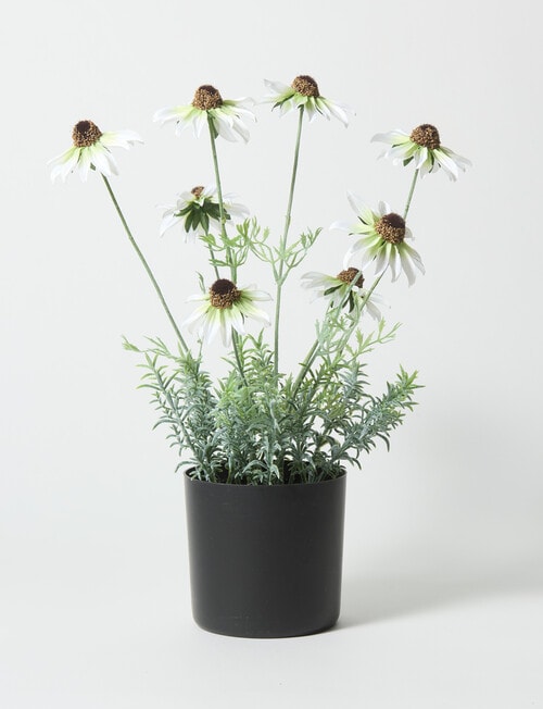 Tilly Home Faux Daisy product photo View 03 L