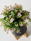 Tilly Home Faux Blush Wild Flowers product photo View 02 S