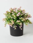Tilly Home Faux Blush Wild Flowers product photo View 03 S
