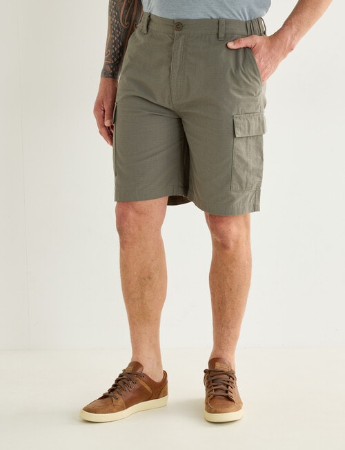 Logan Tayron Shorts, Sage product photo