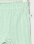Teeny Weeny Rib Essentials Pant, Mint product photo View 02 S