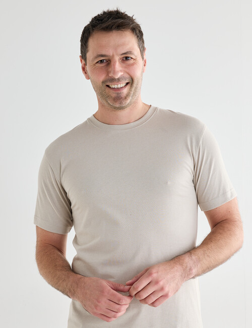 Chisel Ultimate Crew Tee, Taupe Stripes product photo