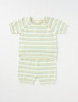 Little Bundle Striped Knit Short-Sleeve Top & Shorts Set, 2-Piece, Sage & Vanilla product photo View 02 S