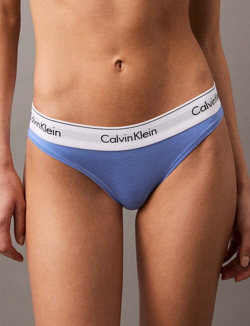 Calvin Klein Modern Cotton Bikini Brief, Glacier product photo