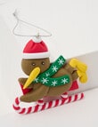 Christmas Shop Claydough Ornament, Sledding Kiwi product photo View 02 S