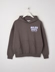 Switch Malibu Sports Oversized Hoodie, Charcoal & Lilac product photo