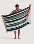 Sheridan Seeker Stripe Beach Towel product photo