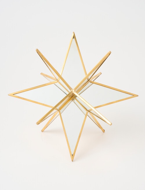 Christmas Shop Star Burst Large product photo