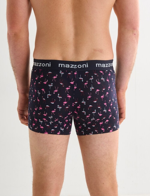 Mazzoni Printed Trunk Gift Box, Flamingo product photo View 02 L