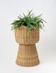 M&Co Sabado Plant Stand product photo