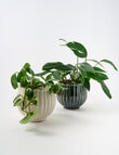 Tilly Home Flore Pot product photo View 05 S