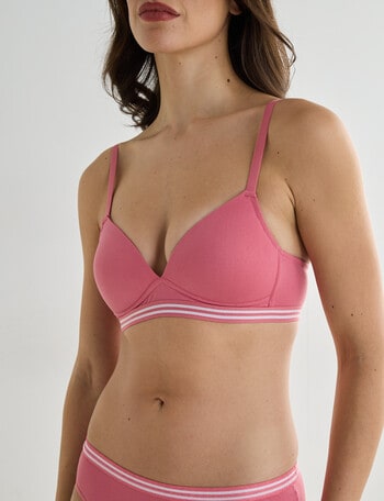 Honey Vegas Seamfree Bra With Stripe Band, Rose, AA-C product photo
