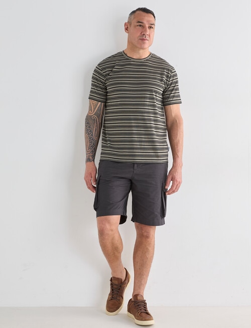 Kauri Trail Stripe Tshirt, Dark Grey Marle product photo View 03 L