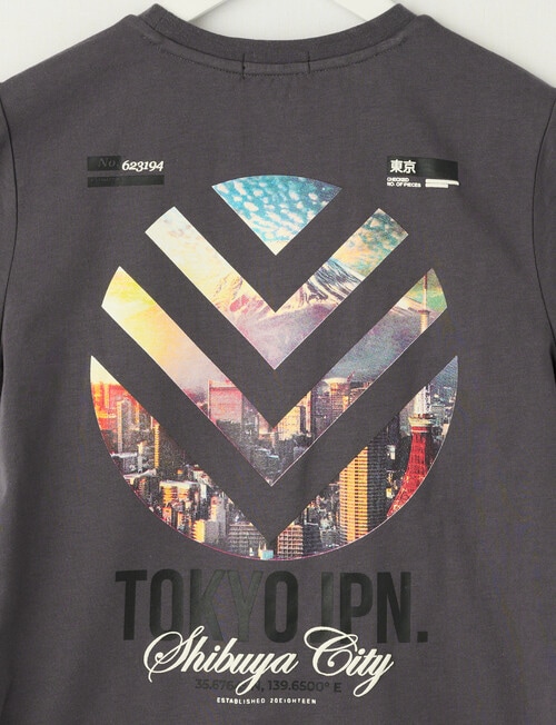 No Issue Japan Photo Short Sleeve Tee, Overcast product photo View 02 L