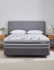 Sleepyhead Balance+ Medium Feel Bedset product photo