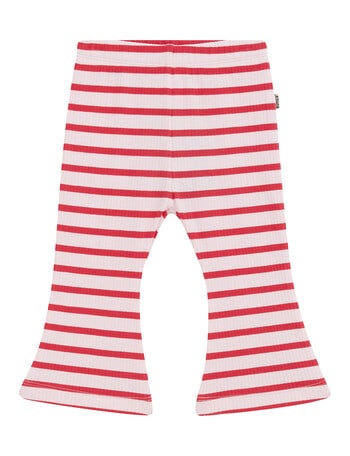 Bonds Wide Rib Leggings, Flamenco product photo