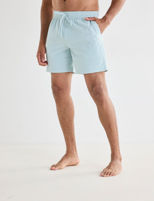 Gasoline Rivea Seersucker Shorts, Mint product photo View 04 L