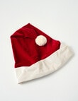 Christmas Shop Velvet Santa Hat product photo View 02 S