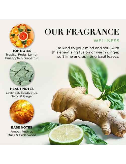 Baylis and Harding Wellness The Ultimate Retreat Gift Set product photo View 04 L