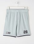 No Issue Basketball Mesh Knit Short, Grey product photo