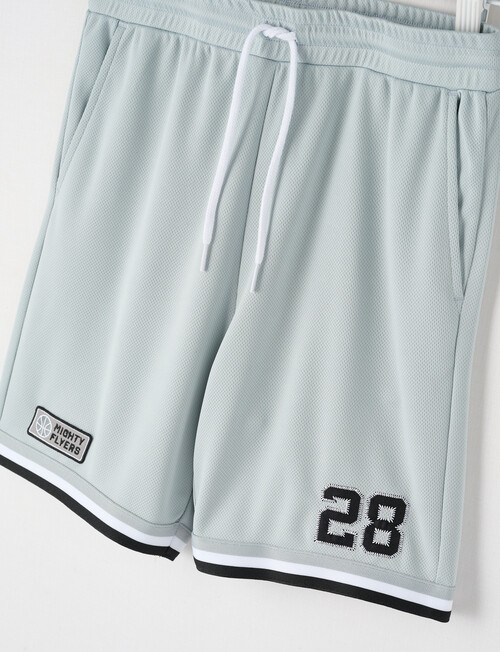 No Issue Basketball Mesh Knit Short, Grey product photo View 03 L