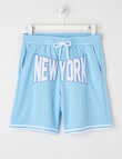 No Issue Basketball Applique Mesh Knit Short, Sky product photo