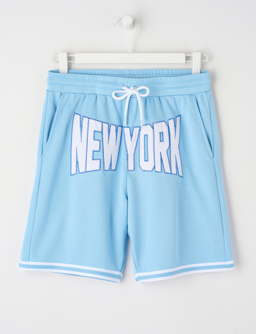 No Issue Basketball Applique Mesh Knit Short, Sky product photo