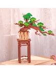 DIY Kits Rolife Evergreen Pine Bonsai Wooden 3D Puzzle, TG510 product photo View 02 S