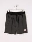 Wavetribe Self Stripe Swim Short, Charcoal product photo