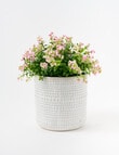 Tilly Home Mari Planter, 16cm product photo