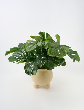 Tilly Home Rhi Pot product photo
