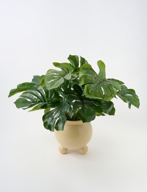 Tilly Home Rhi Pot product photo