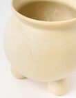Tilly Home Rhi Pot product photo View 04 S