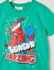 Licensed X Mas Spider Man Knit Short PJ Set, Green & Red, 3-8 product photo View 02 S