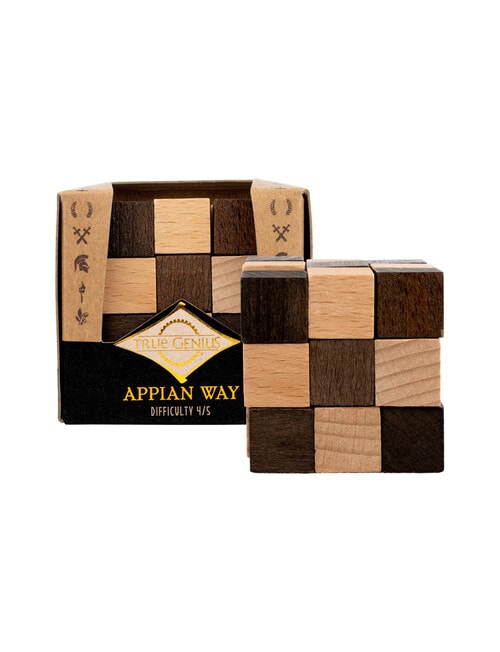 Project Genius Assorted Puzzles product photo View 05 L