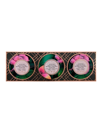 Vanilla Sugar Cassa Belle Body Butter Trio product photo