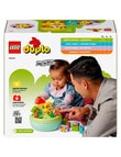 LEGO DUPLO Shape Sorter: Puppy House, 10441 product photo View 08 S
