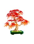 LEGO Botanicals Japanese Red Maple Bonsai Tree, 10348 product photo View 04 S