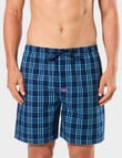 Mitch Dowd Pop Tropic Check Cotton Shorts, Blue product photo