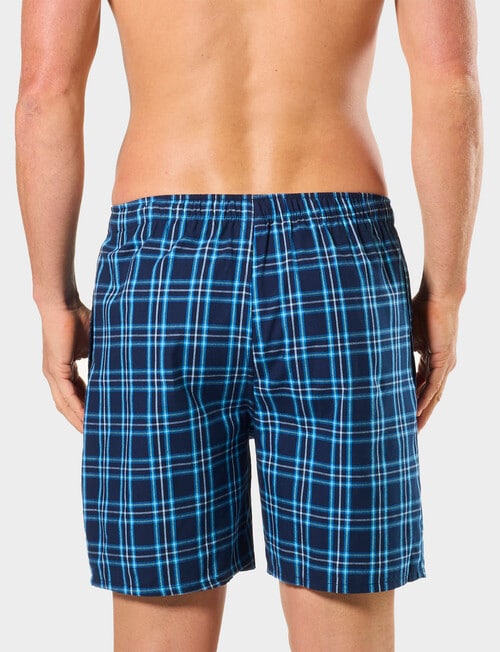 Mitch Dowd Pop Tropic Check Cotton Shorts, Blue product photo View 02 L