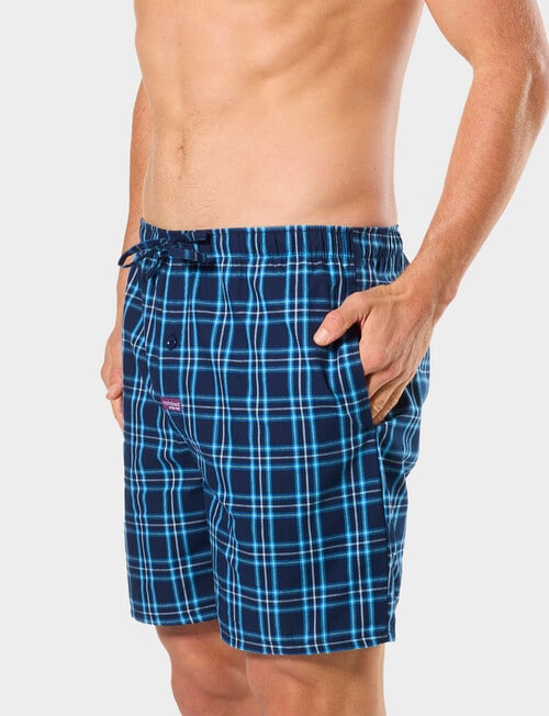 Mitch Dowd Pop Tropic Check Cotton Shorts, Blue product photo View 03 L