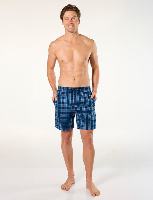 Mitch Dowd Pop Tropic Check Cotton Shorts, Blue product photo View 04 L