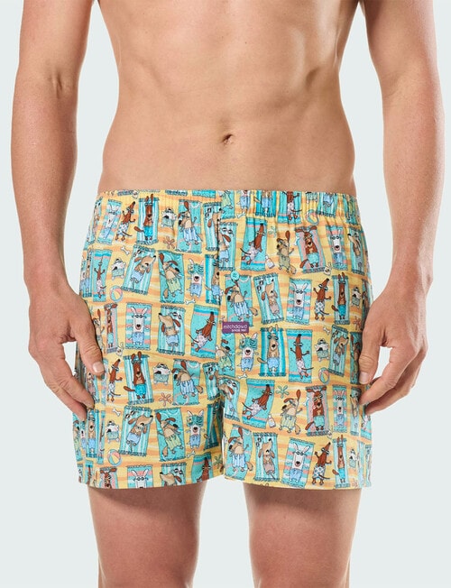 Mitch Dowd Woven Boxer, 3-Pack, Sun Dawgs product photo View 02 L