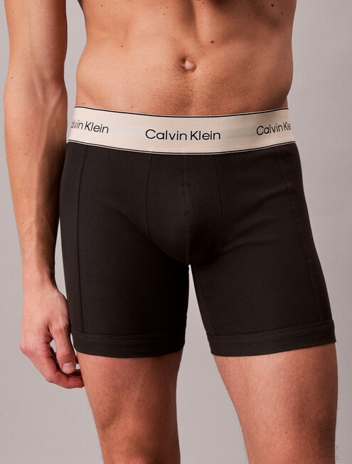 Calvin Klein Cotton Boxer Brief, 3-Pack, Black product photo View 04 L